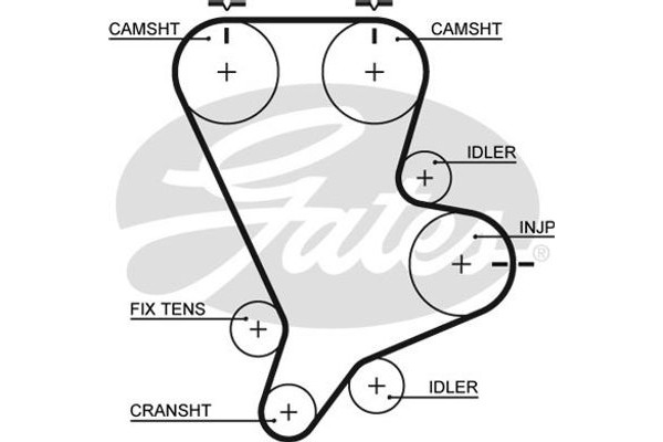 Gates Οδοντωτός Ιμάντας - 5554XS