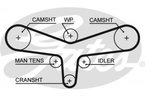 Gates Οδοντωτός Ιμάντας - 5557XS