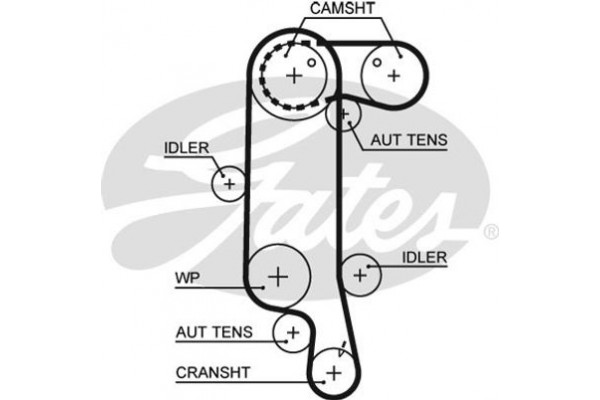 Gates Οδοντωτός Ιμάντας - 5565XS