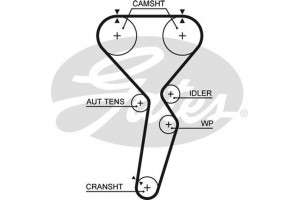 Gates Οδοντωτός Ιμάντας - 5585XS