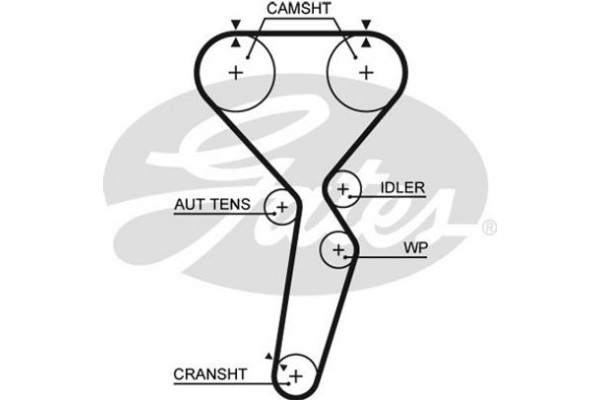 Gates Οδοντωτός Ιμάντας - 5585XS