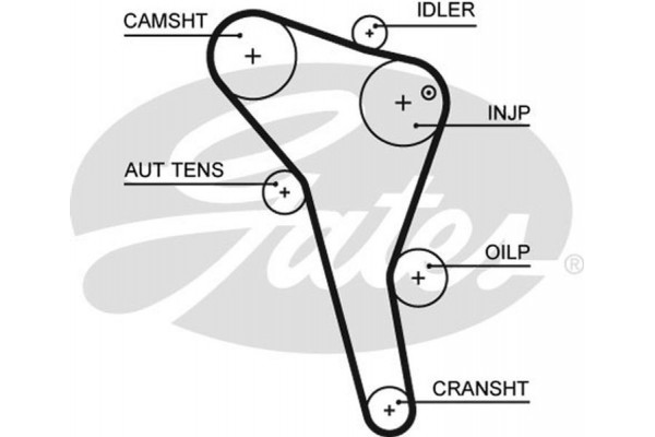 Gates Οδοντωτός Ιμάντας - 5622XS