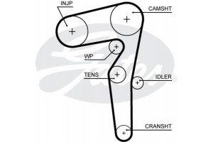Gates Οδοντωτός Ιμάντας - 5646XS