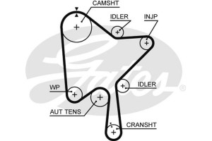 Gates Οδοντωτός Ιμάντας - 5686XS