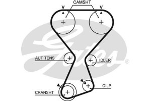 Gates Οδοντωτός Ιμάντας - T313