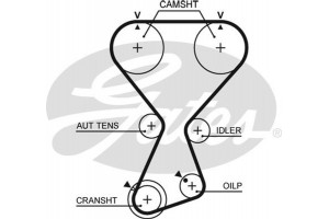 Gates Οδοντωτός Ιμάντας - T313