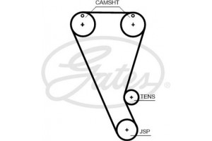 Gates Οδοντωτός Ιμάντας - T363HOB