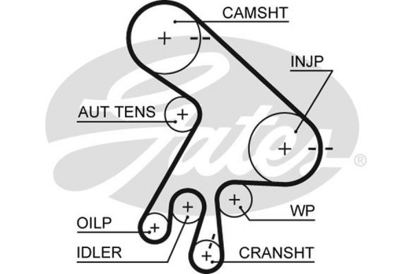 Gates Σετ Οδοντωτού Ιμάντα - K015562XS