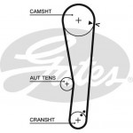 Gates Σετ Οδοντωτού Ιμάντα - K015568XS
