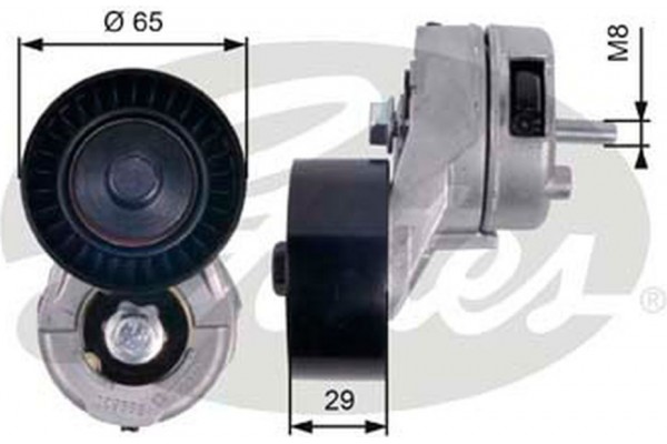 Gates Τεντωτήρας ιμάντα, Ιμάντας poly-V - T38356