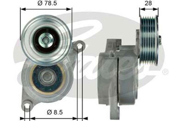 Gates Τεντωτήρας ιμάντα, Ιμάντας poly-V - T39103