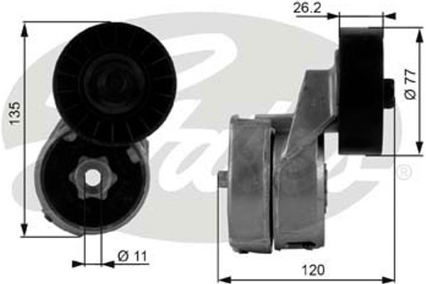 Gates Τεντωτήρας, Ιμάντας poly-V - T38443