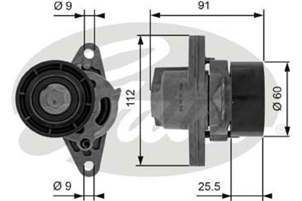 Gates Τεντωτήρας, Ιμάντας poly-V - T38456