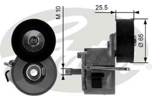 Gates Τεντωτήρας, Ιμάντας poly-V - T39014