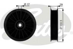 Gates Τροχαλία παρέκκλισης, Ιμάντας poly-V - T38034