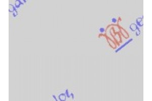 Χερουλι Πορτας ΕΜΠ. Εξω Αριστερα Daewoo Lanos Sdn 97-08 - 049007842