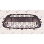 Διχτυ Προφυλακτηρα Εμπρος Με Φασα Citroen C3 10-13 - 195004800