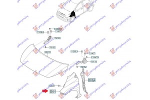 Φτερο Εμπρος (ΧΩΡΙΣ Τρυπα ΦΛΑΣ) Δεξια Kia Picanto 17- - 432200651