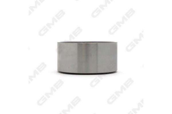 Gmb Τροχαλία παρέκκλισης, οδοντ. Ιμάντας - GT10160