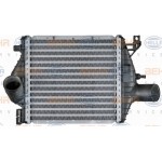 Hella Ψυγείο Αέρα Υπερπλήρωσης - 8ML 376 724-121