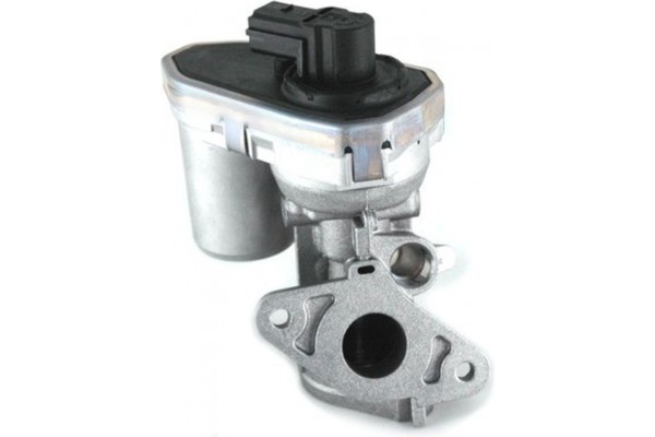 Hoffer Βαλβίδα Agr - 7518137