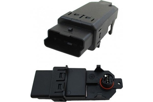 Hoffer Εγκέφαλος, Γρύλος Παραθύρου - 2107502