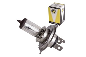 Flosser H4 Λάμπα H4 100/55W P43t 12V Ιωδίου 12V 1τμχ