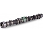 Ina Εκκεντροφόρος Άξονας - 428 0102 10