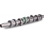 Ina Εκκεντροφόρος Άξονας - 428 0110 10