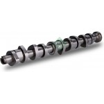 Ina Εκκεντροφόρος Άξονας - 428 0111 10