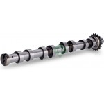 Ina Εκκεντροφόρος Άξονας - 428 0120 10