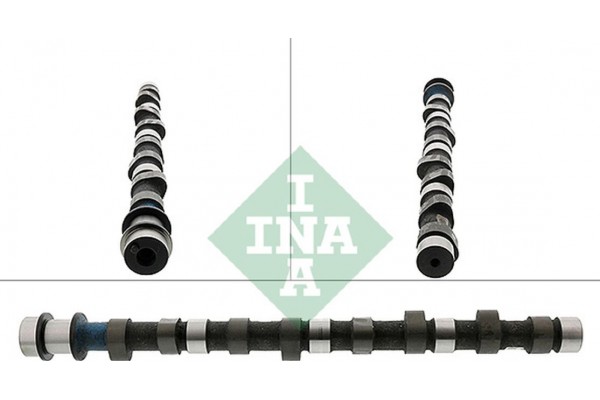Ina Εκκεντροφόρος Άξονας - 428 0129 10