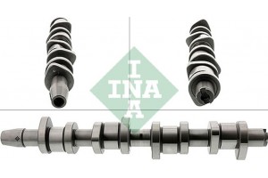 Ina Εκκεντροφόρος Άξονας - 428 0130 10