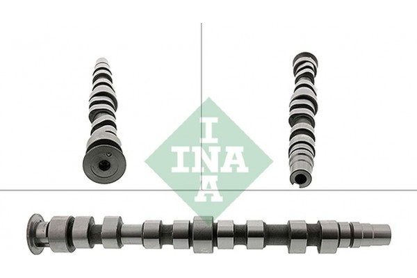 Ina Εκκεντροφόρος Άξονας - 428 0169 10