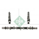 Ina Εκκεντροφόρος Άξονας - 428 0198 10