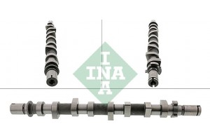 Ina Εκκεντροφόρος Άξονας - 428 0198 10