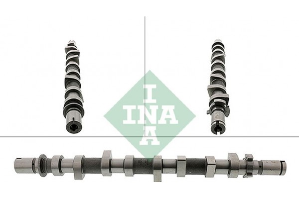 Ina Εκκεντροφόρος Άξονας - 428 0198 10