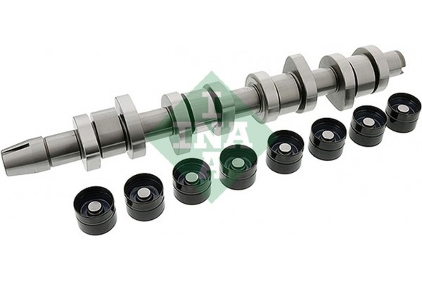 Ina Σετ Εκκεντροφόρου - 428 0042 30