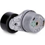 Ina Τεντωτήρας ιμάντα, Ιμάντας poly-V - 534 0031 10