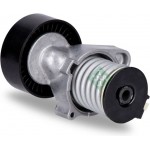 Ina Τεντωτήρας ιμάντα, Ιμάντας poly-V - 534 0081 30