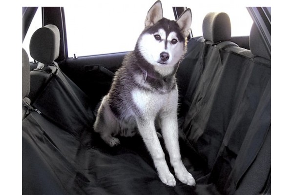 Carpoint Κάλυμμα Σκύλου για Πίσω Καθίσματα Αυτοκινήτου 140x150cm
