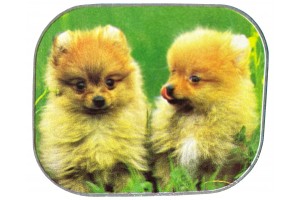 Κουρτινακια Πλαινα Βεντουζα Εγχρωμα Τυχαίο Σχέδιο