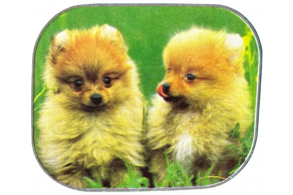 Κουρτινακια Πλαινα Βεντουζα Εγχρωμα Τυχαίο Σχέδιο