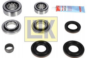 Luk Σετ επισκευής, Διαφορικό - 462 0215 10