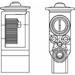 Mahle Βαλβίδα εκτόνωσης, συστ. κλιματ. - Ave 55 000P
