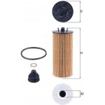 Mahle Φίλτρο Λαδιού - Ox 815/1D