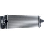 Mahle Ψυγείο Αέρα Υπερπλήρωσης - Ci 368 000P