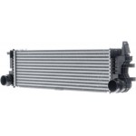 Mahle Ψυγείο Αέρα Υπερπλήρωσης - Ci 180 000P