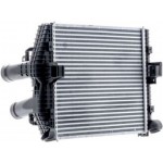 Mahle Ψυγείο Αέρα Υπερπλήρωσης - Ci 114 000P