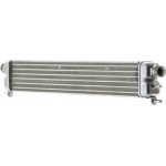 Mahle Ψυγείο λαδιού, Λάδι Κινητήρα - Clc 68 000P